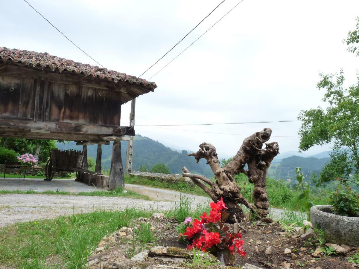 Narciandi Casa Iris 게스트하우스 외부 사진